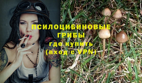 spice Россошь