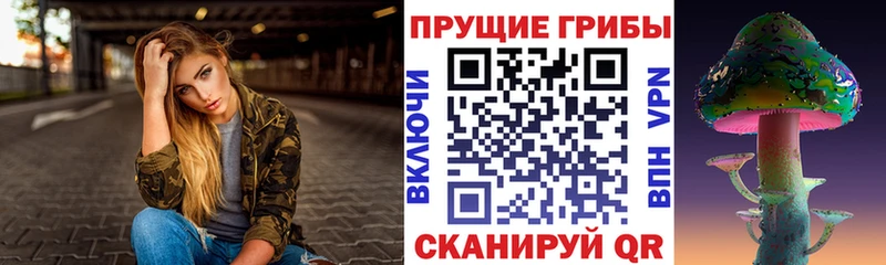 купить наркоту  Калтан  мега вход  даркнет как зайти  Галлюциногенные грибы мицелий 